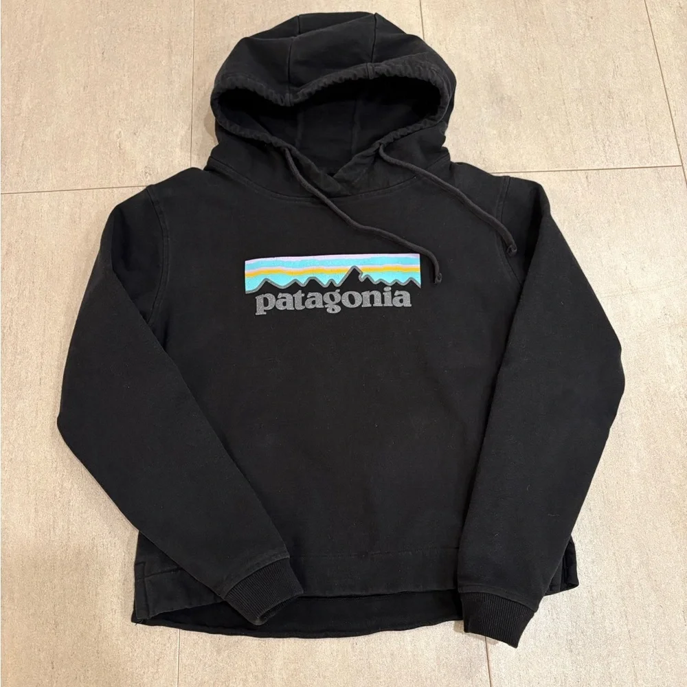 Patagonia Women’s Pastrl Uprisal Logo Hoodie size XS - Picture 2 of 5